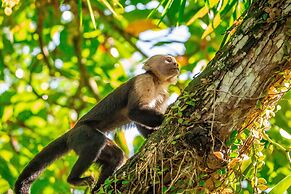 Chosa Manglar Nature Retreat