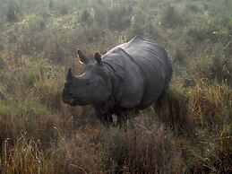 Eco Adventure Resort