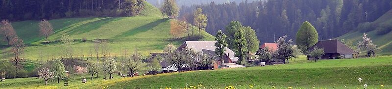 Landgasthof Adler