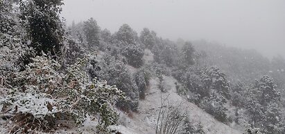 WoodSmoke resort & Spa