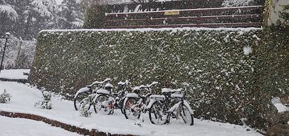 WoodSmoke resort & Spa