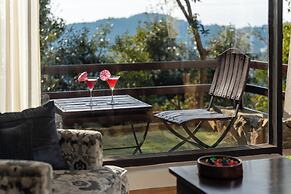 WoodSmoke resort & Spa