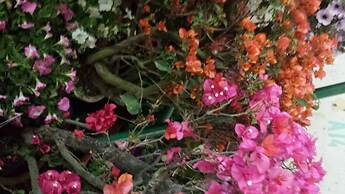 Dipankara Holiday Home