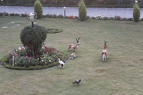 Dipankara Holiday Home