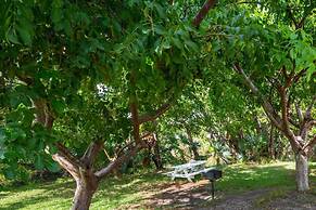 The Exuma Cay by Brightwild Pool View Parking