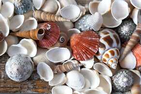 St Martin Suite Beautifully Updated Pool View