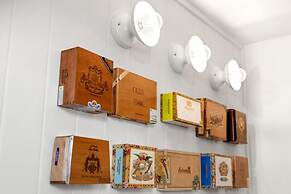 Romeo Julieta 2 Epic Studios Steps to 7th Ave