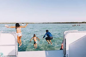 New Altair House by Brightwild Pool Pets