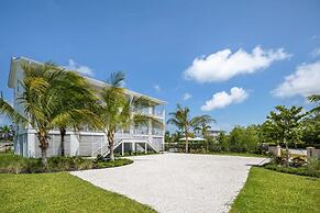 New Altair House by Brightwild Pool Pets