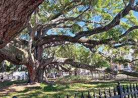 Canopy Cove Stunning 2BR Apt Heart of Downtown