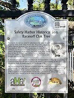 NEW Canopy Cabana Luxury Downtown Apt