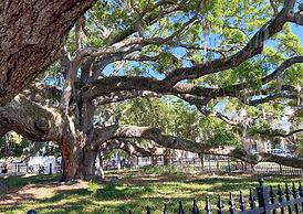 NEW Canopy Cabana Luxury Downtown Apt