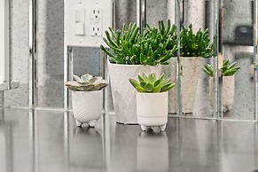 Soho Serenity by Brightwild Pool Hot Tub