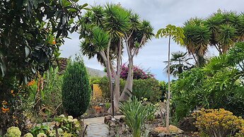 Oasis Hill Botanical Garden