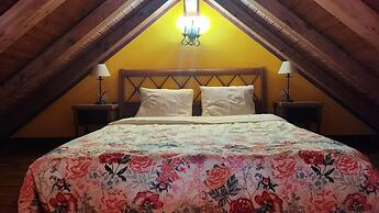 Oasis Hill Botanical Garden