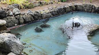 Oasis Hill Botanical Garden