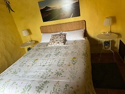 Oasis Hill Botanical Garden