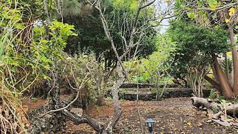 Oasis Hill Botanical Garden