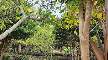 Oasis Hill Botanical Garden