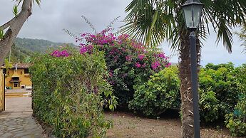 Oasis Hill Botanical Garden