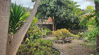 Oasis Hill Botanical Garden