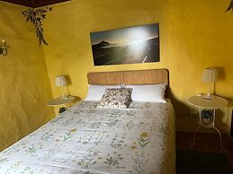 Oasis Hill Botanical Garden