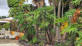 Oasis Hill Botanical Garden