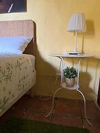 Oasis Hill Botanical Garden