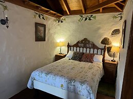 Oasis Hill Botanical Garden