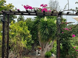 Oasis Hill Botanical Garden