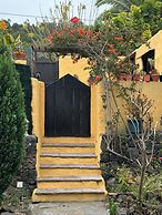 Oasis Hill Botanical Garden