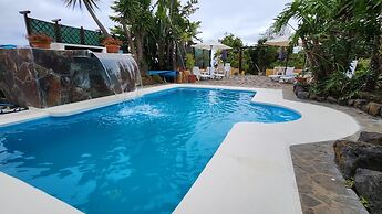 Oasis Hill Botanical Garden