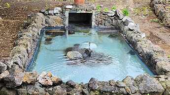 Oasis Hill Botanical Garden