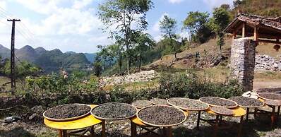 Long Co Tran Homestay