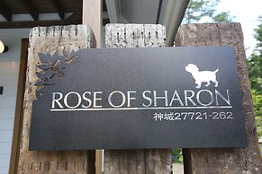 Rose of Sharon