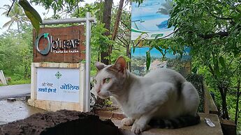 O'Nest Luxury Home Stay