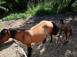 Cozy Farmhouse in Paciano With Private Pool