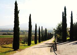 Cozy Farmhouse in Paciano With Private Pool