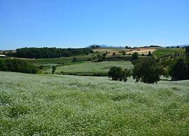 Cozy Farmhouse in Paciano With Private Pool
