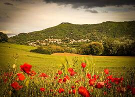 Cozy Farmhouse in Paciano With Private Pool