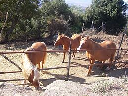 Cozy Farmhouse in Paciano With Private Pool