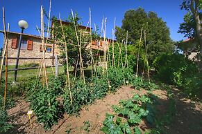 Cozy Farmhouse in Paciano With Private Pool