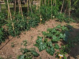 Cozy Farmhouse in Paciano With Private Pool