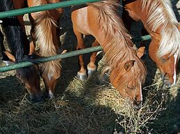 Cozy Farmhouse in Paciano With Private Pool