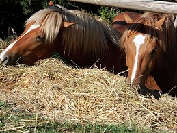 Cozy Farmhouse in Paciano With Private Pool