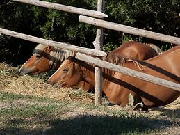 Cozy Farmhouse in Paciano With Private Pool