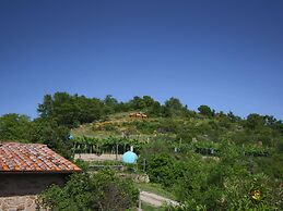 Cozy Farmhouse in Paciano With Private Pool
