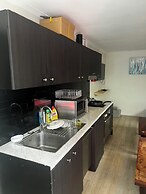 The Palm Hamilton Backpackers