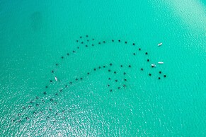 Seaside Serenity 5 Bedroom Home