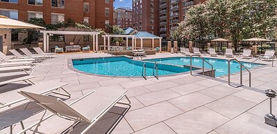 Stylish & Cozy Apartment in Ballston